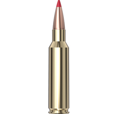 Hornady Precision Hunter™ Ammunition 300 RCM 178 gr ELD-X® 20/Box