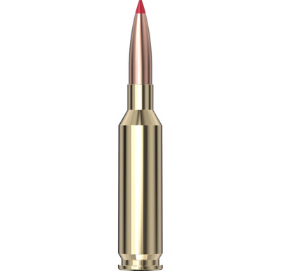 Hornady Precision Hunter™ Ammunition 6mm CM 103 gr ELD-X® 20/Box