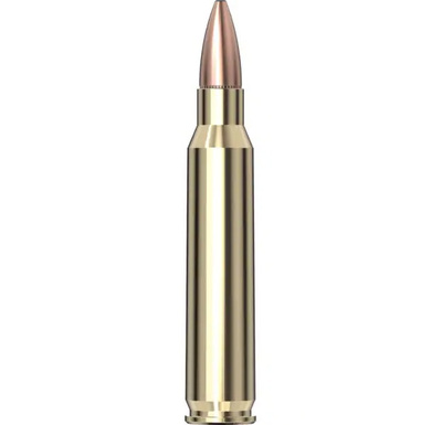 Hornady Black™ Ammunition 223 REM 62 gr FMJ 20/Box