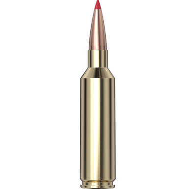 Hornady Precision Hunter™ Ammunition 270 WSM 145 gr ELD-X® 20/Box