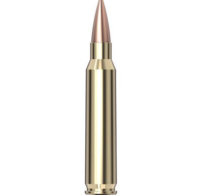 Hornady Black™ Ammunition 223 REM 75 gr BTHP Match 20/Box