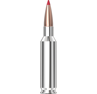 Hornady Outfitter® Ammunition 6.5 Creedmoor 120 gr CX™ 20/Box