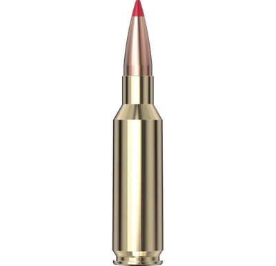 Hornady Precision Hunter™ Ammo 300 REM Sa Ultra Mag 178 gr ELD-X 20/Bo