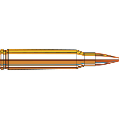 Hornady Frontier® Ammunition 5.56 NATO 55 gr Hollow Point Match™