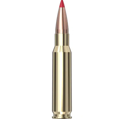 Hornady Precision Hunter™ Ammunition 308 Win 178 gr ELD-X® 20/Box