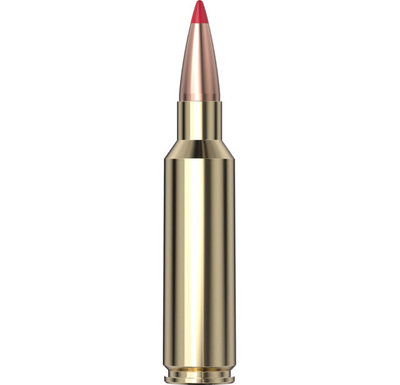 Hornady Precision Hunter™ Ammunition 300 WSM 200 gr ELD-X® 20/Box