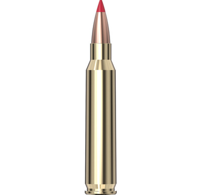 Hornady Match™ Ammunition 223 REM 73 gr ELD® Match 20/Box