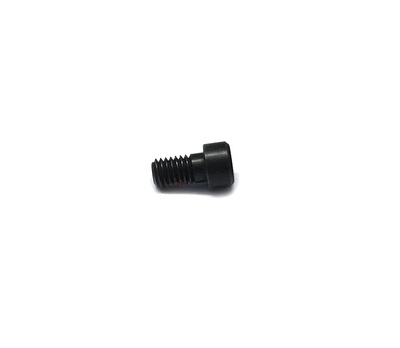 Smith & Wesson Spare Part SW22 Victory TakeDown Screw