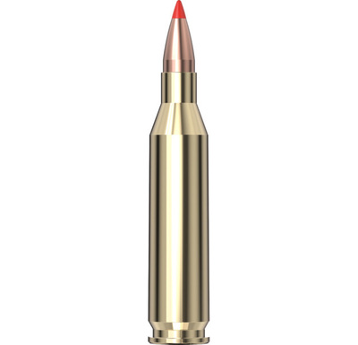 Hornady Superformance® Varmint™ Ammo 243 Win V-MAX® 20/Box